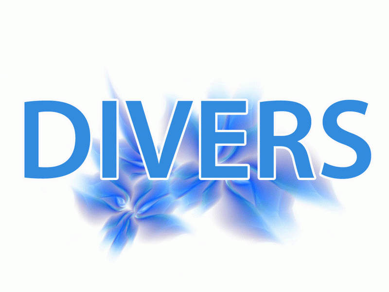 Prestations et services divers
